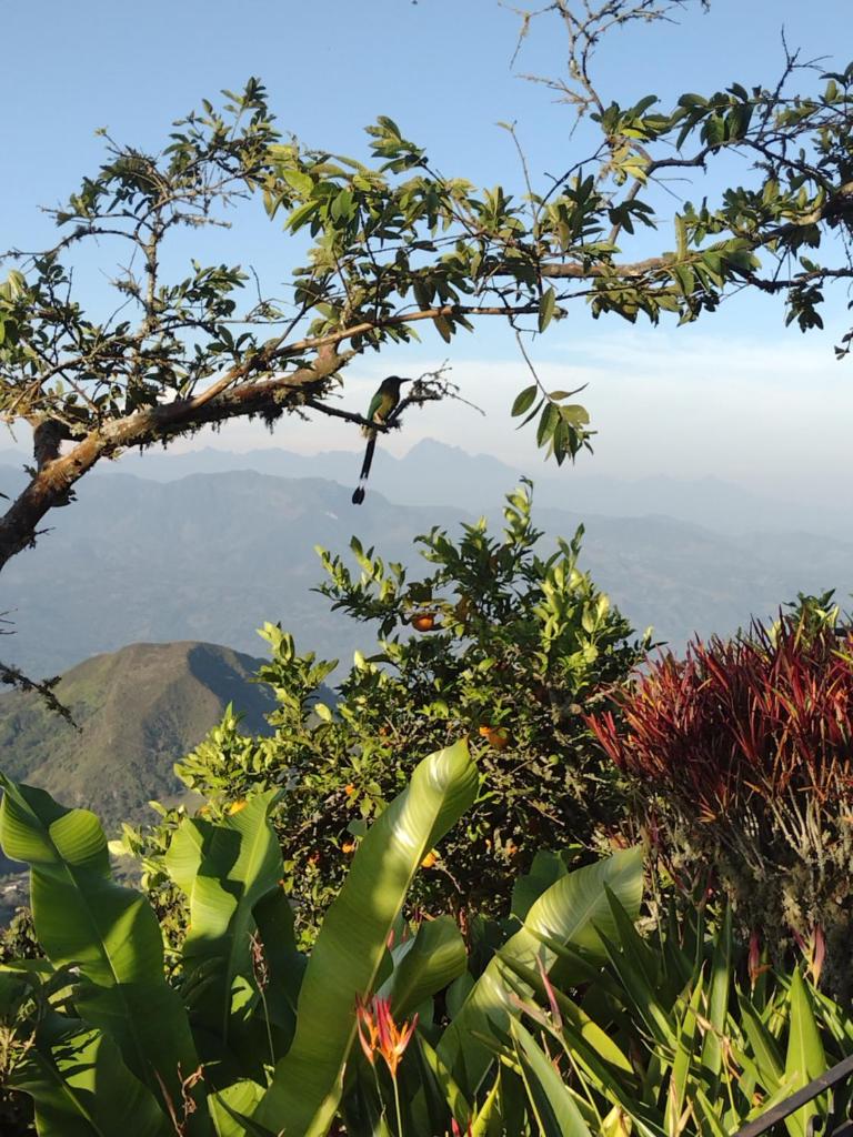 Finca Emilio photo 3