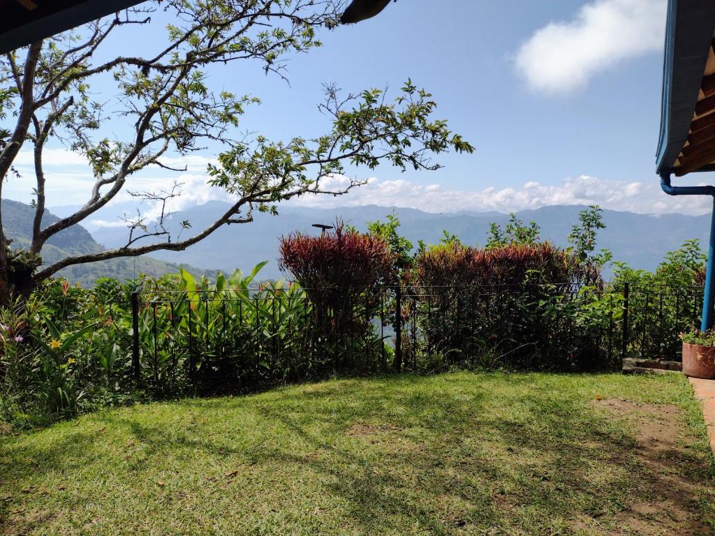 Finca Emilio photo 2