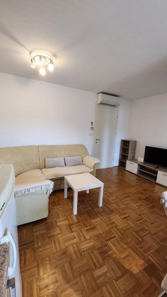 Apartment Hanna photo 2