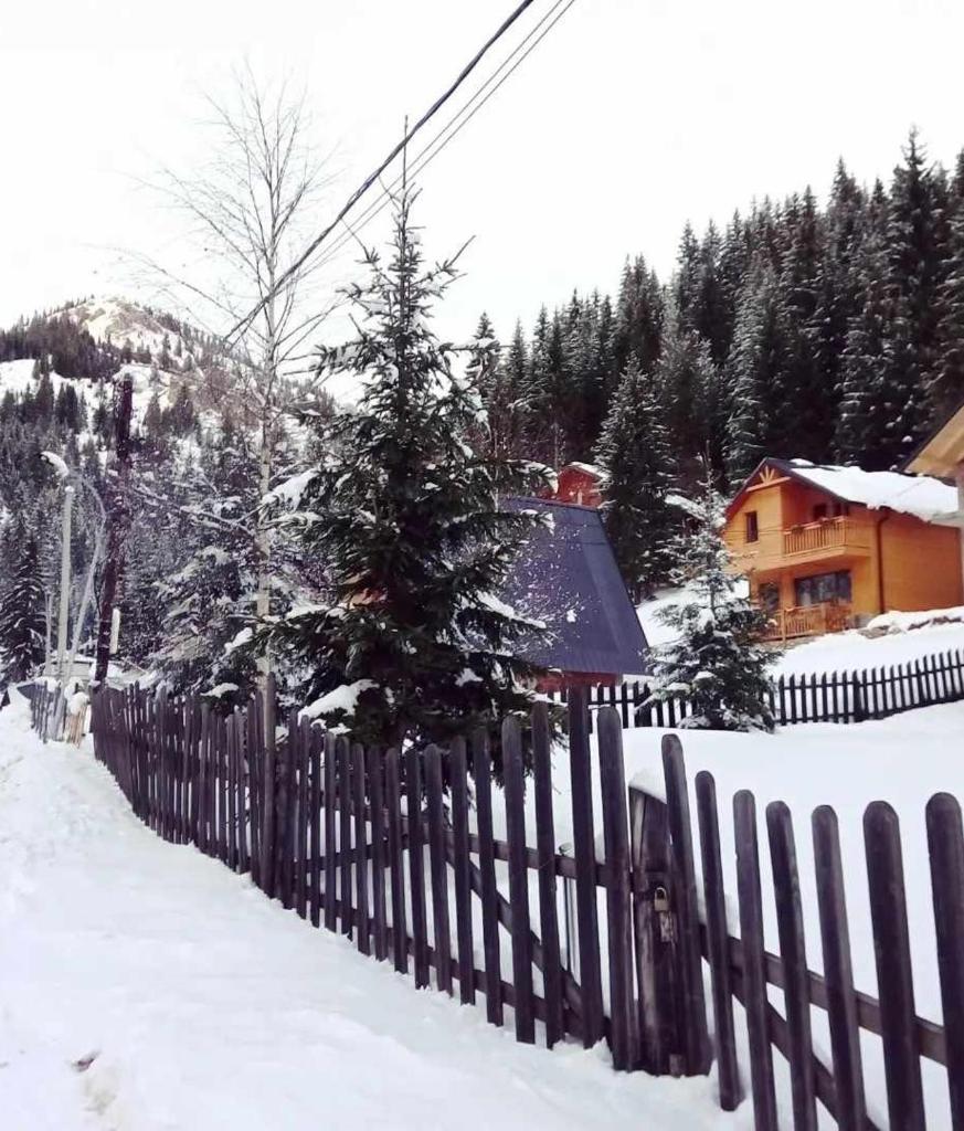 Villat Kroni Boge Rugove photo 3