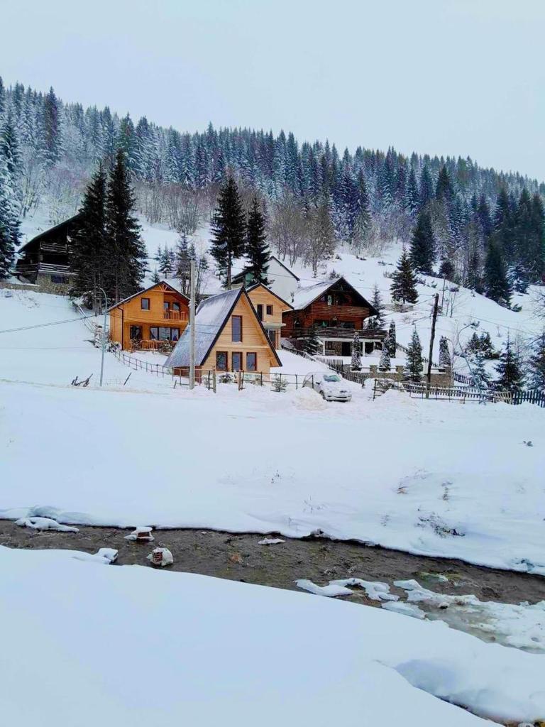 Villat Kroni Boge Rugove photo 1