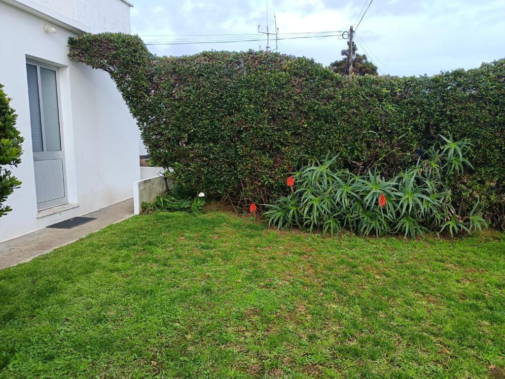 Casa da Atalaia photo 3