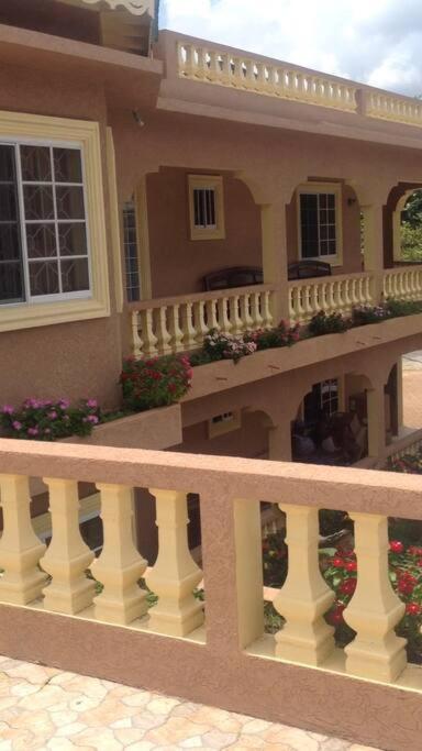Outspoken villas by the sea photo 1