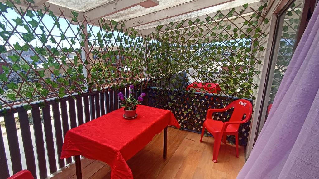 Hostal " Donde Alicia " photo 3