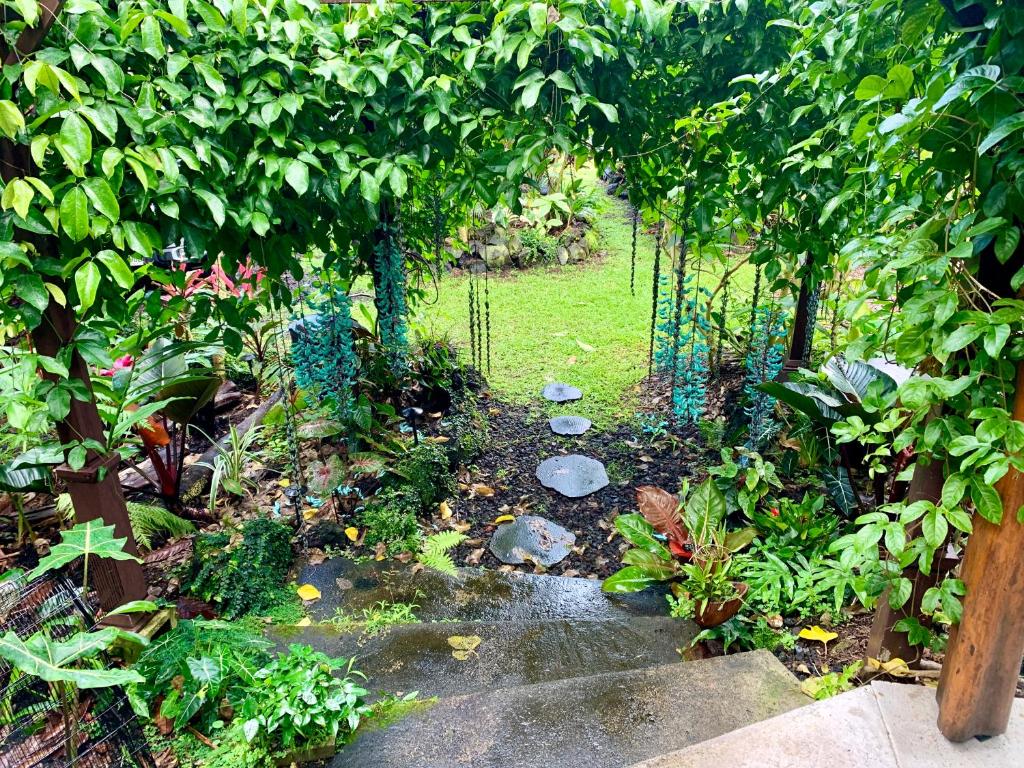 Phoenix Garden image