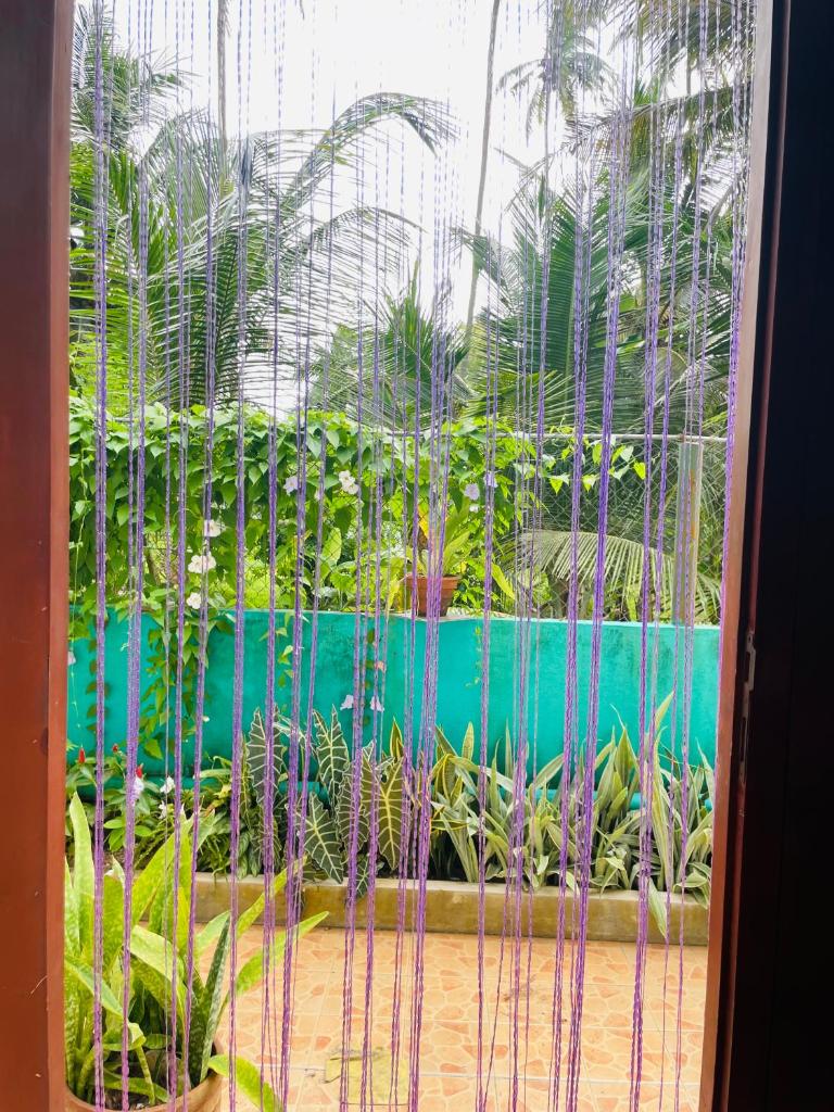 White Villa photo 4