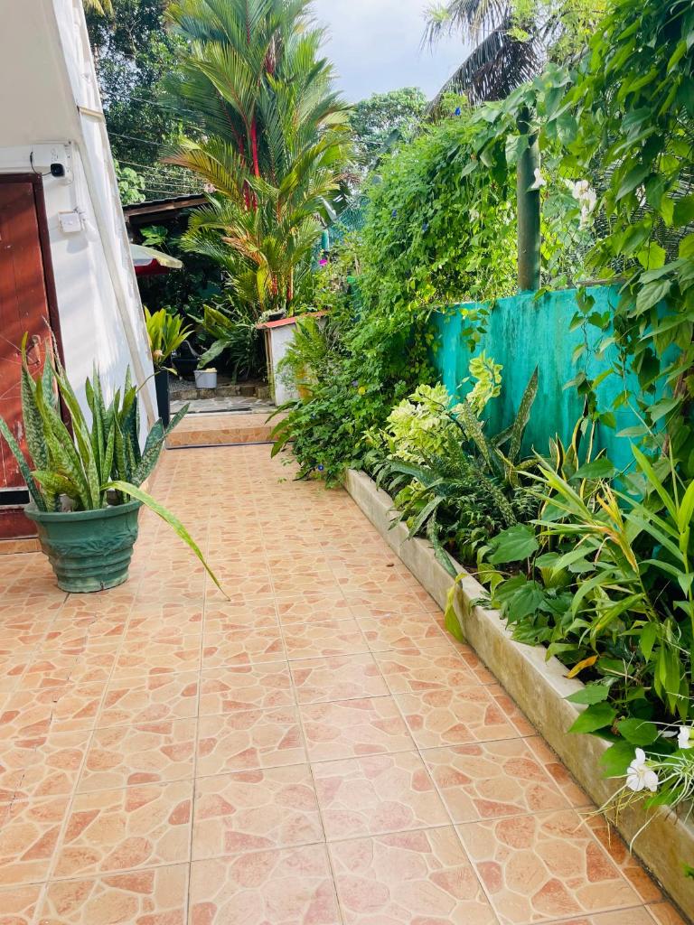 White Villa photo 2