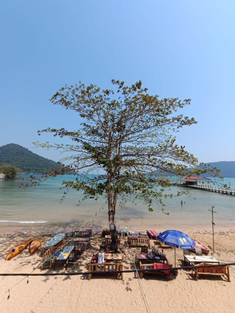 Golden Snake guesthouse beach photo 2