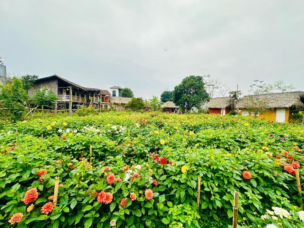 Luong Son Homestay Ecolodge