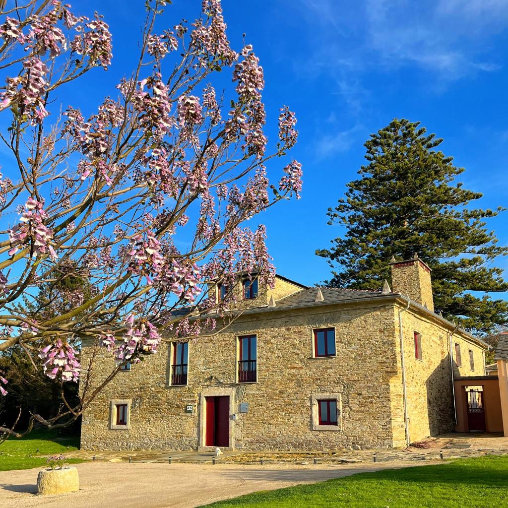 Araucaria House photo 1