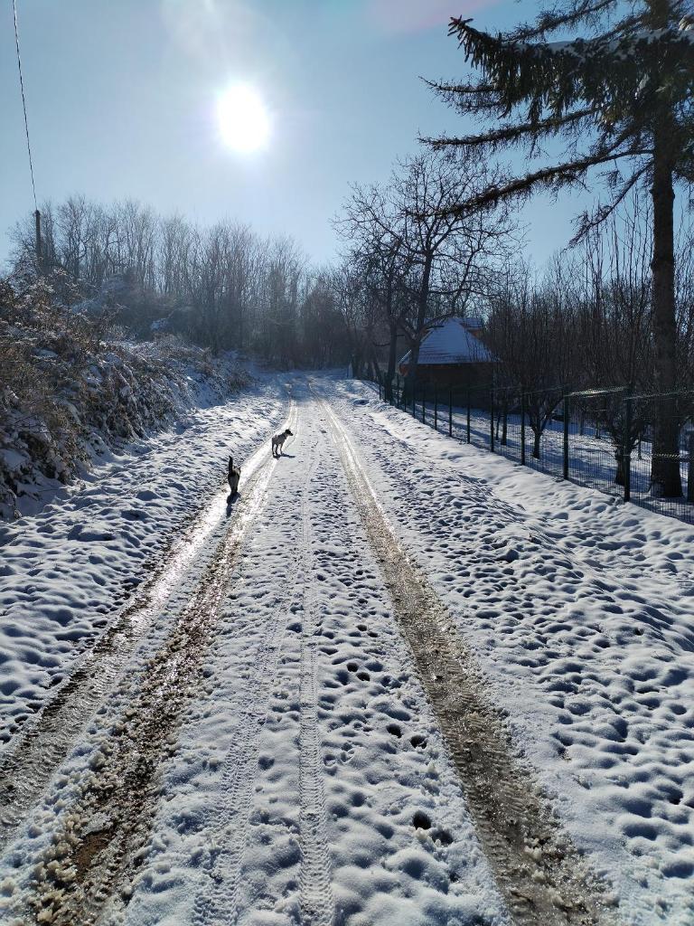 Ranč Sretenović photo 3