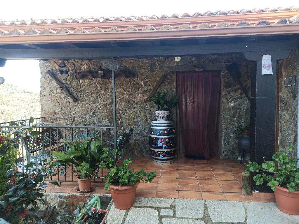 Casa Rural Los Olivos