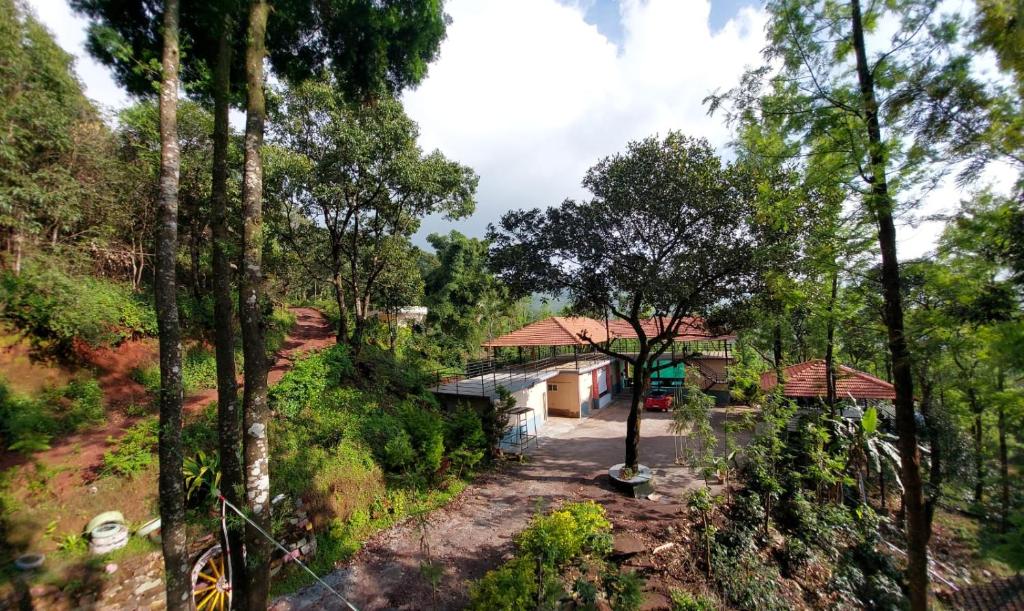 Silver Cloud Eco Stay photo 4