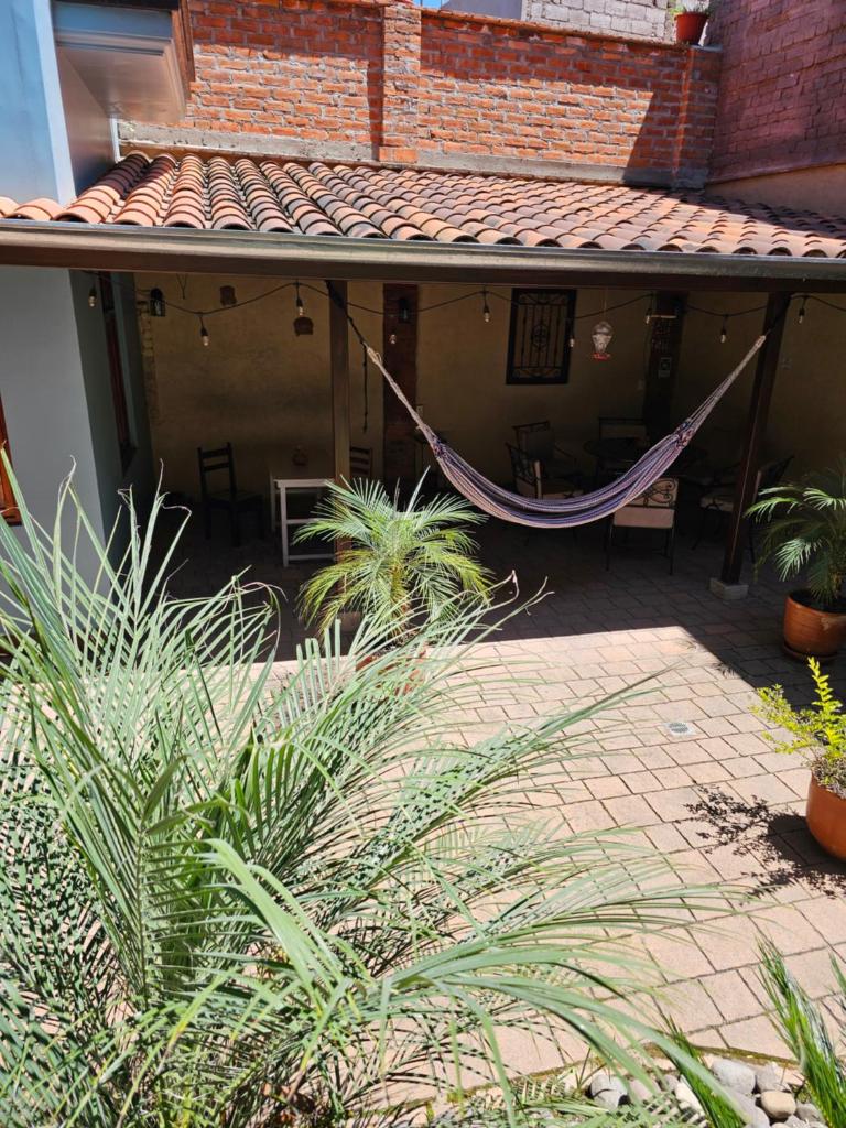 Casa Hibiscus Boutique Hotel photo 4
