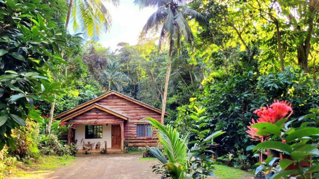 Ecoscape Jamaica - Cottages by the river photo 2
