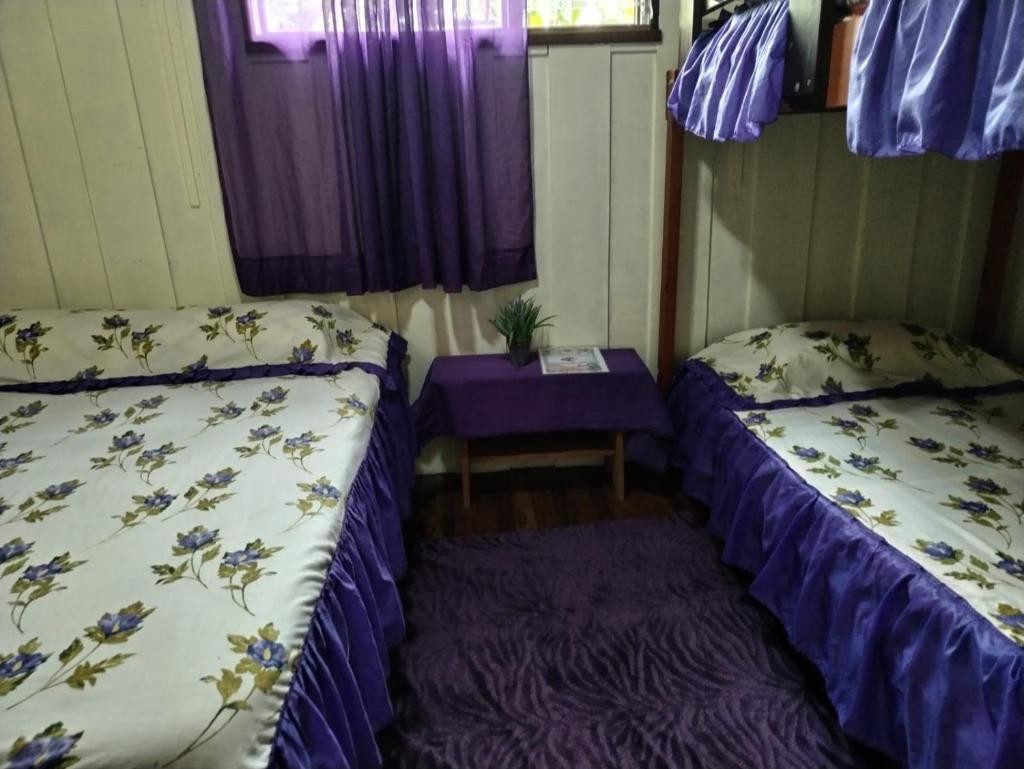 Pensión y Cabinas Colibrí B&B Costa Rica photo 3