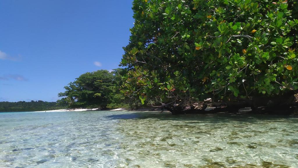 Nosy boraha photo 1