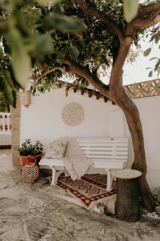 Villa Soluna photo 1