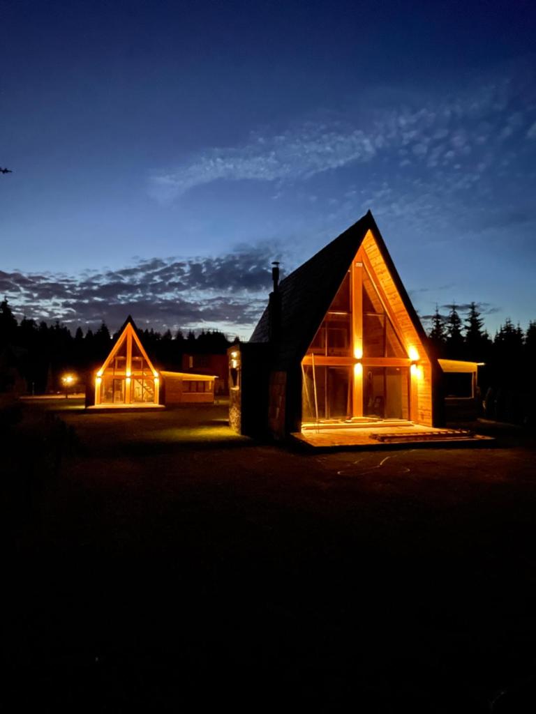 Popovic SPA house Tara photo 3