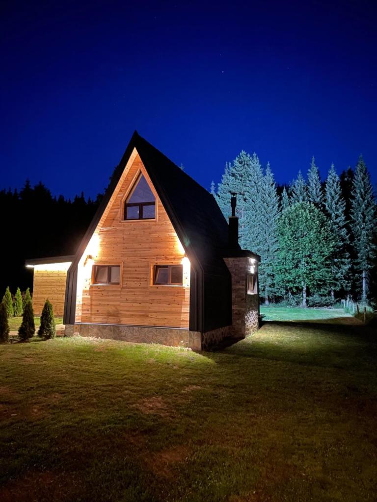 Popovic SPA house Tara II photo 4