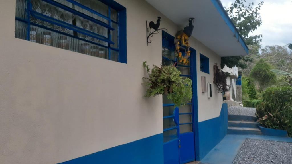 Kitnet em meio à mata Atlântica