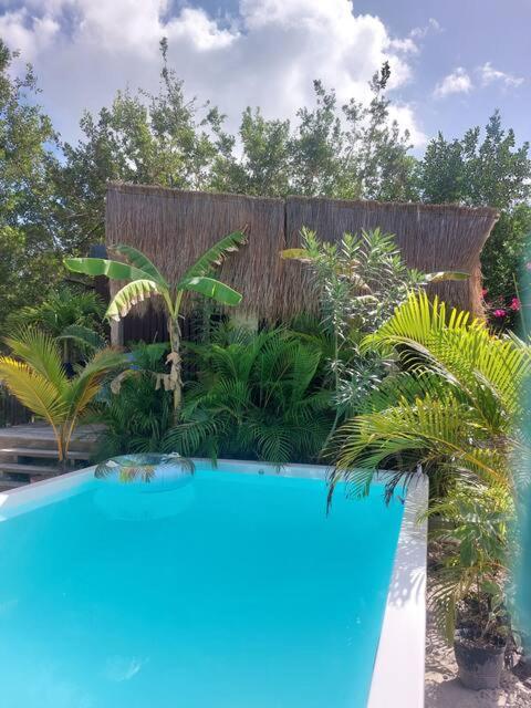 Polita Tiny House, con piscina, a 200m de la playa photo 1