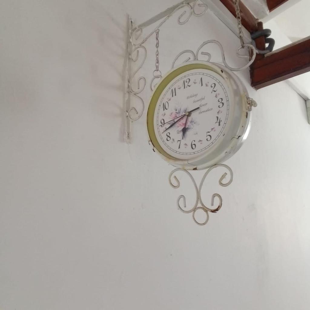 Bird Nest - Hanthana photo 3