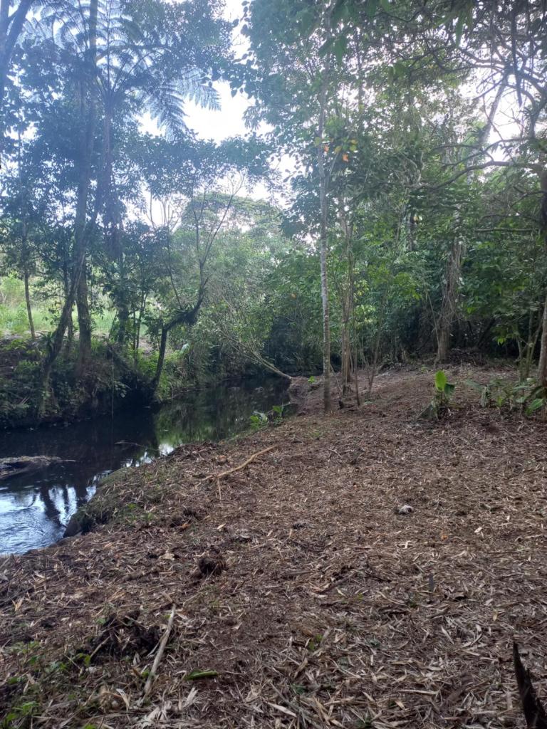 Finca La Esperanza photo 2