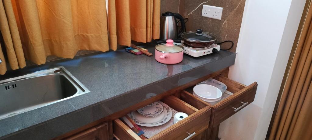 SD Villa photo 1