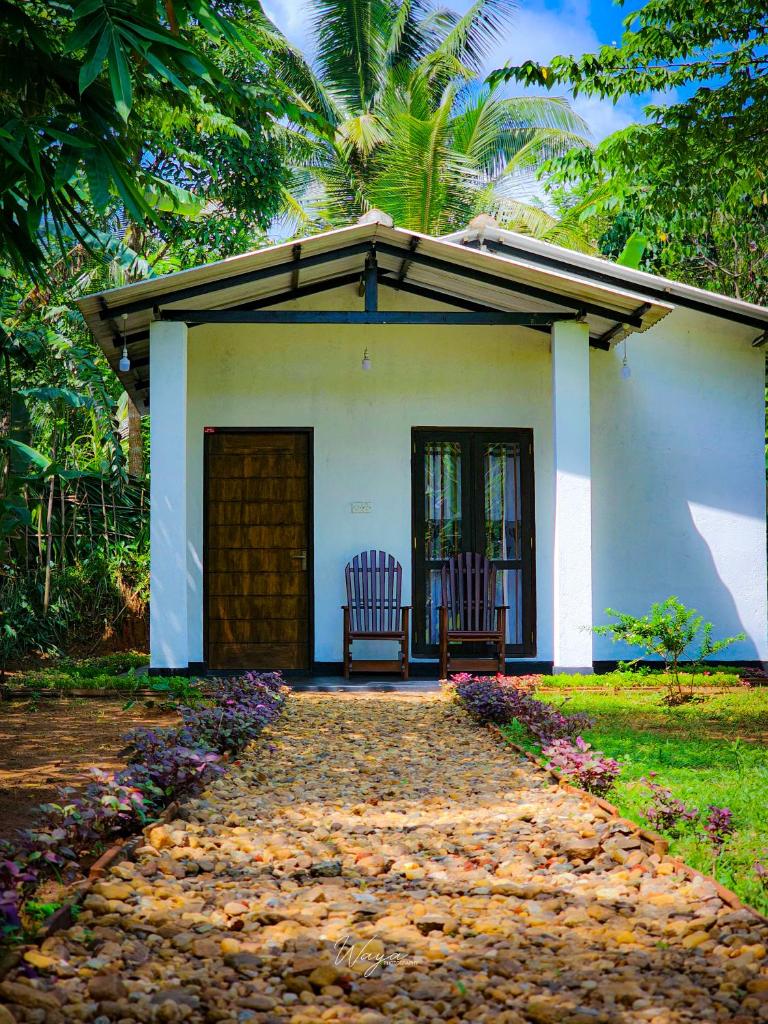 Banana Shade Cottage photo 4