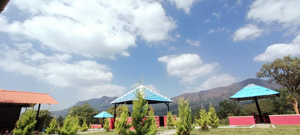 Mount Heaven photo 1