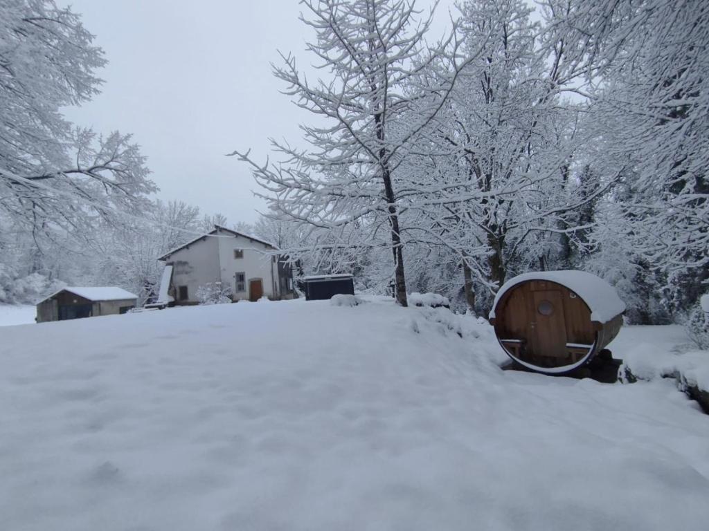LE TILLEUL DE BRESSOLLES photo 4