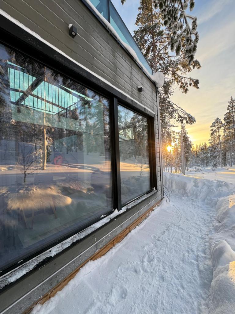 Levi Aurora Igloo photo 4