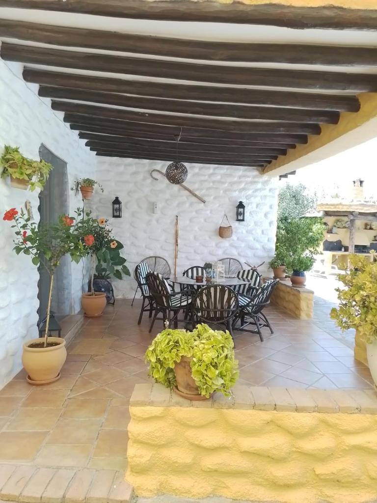 Casas Amaro photo 4