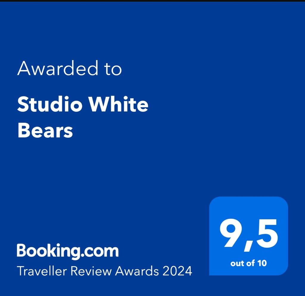 Studio White Bears photo 1