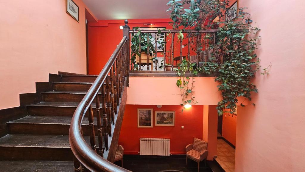 HOSTAL ALBE photo 2