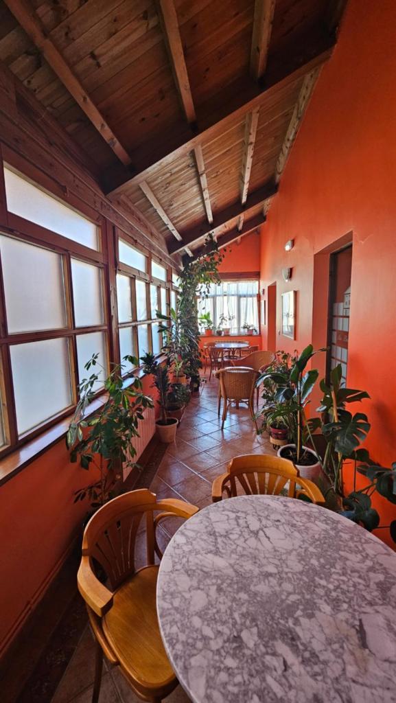 HOSTAL ALBE photo 1
