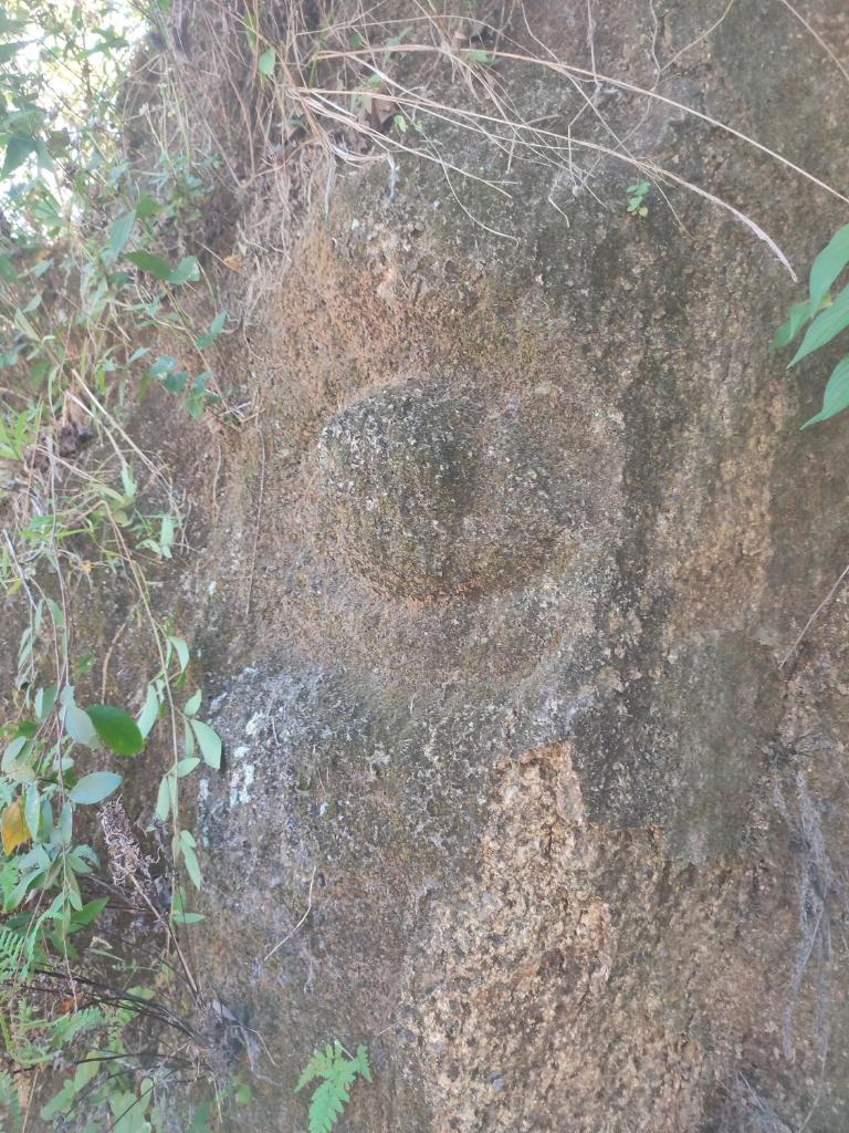 Cabaña la Hamaca Grande un encuentro con la naturaleza photo 2