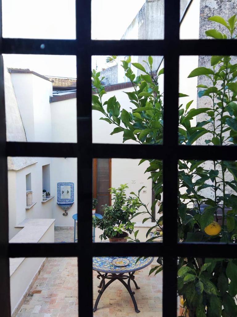 Rachel's House photo 2