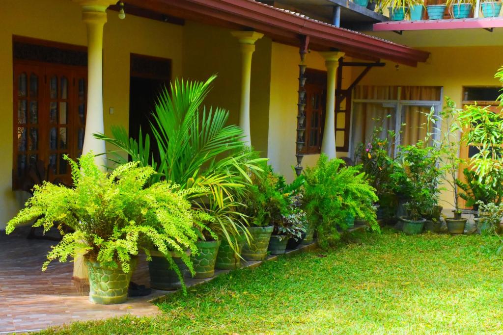 Lodge In The Valley Udawalawa