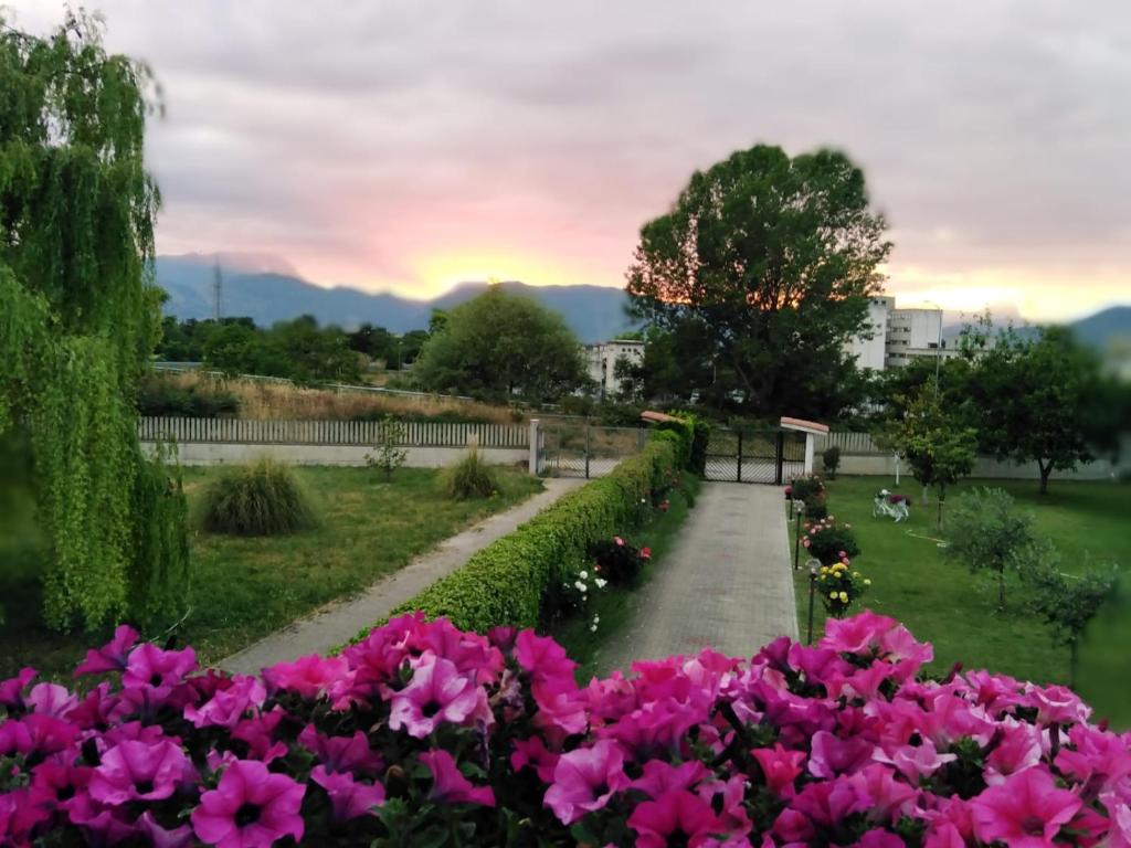 Parco delle Rose photo 1