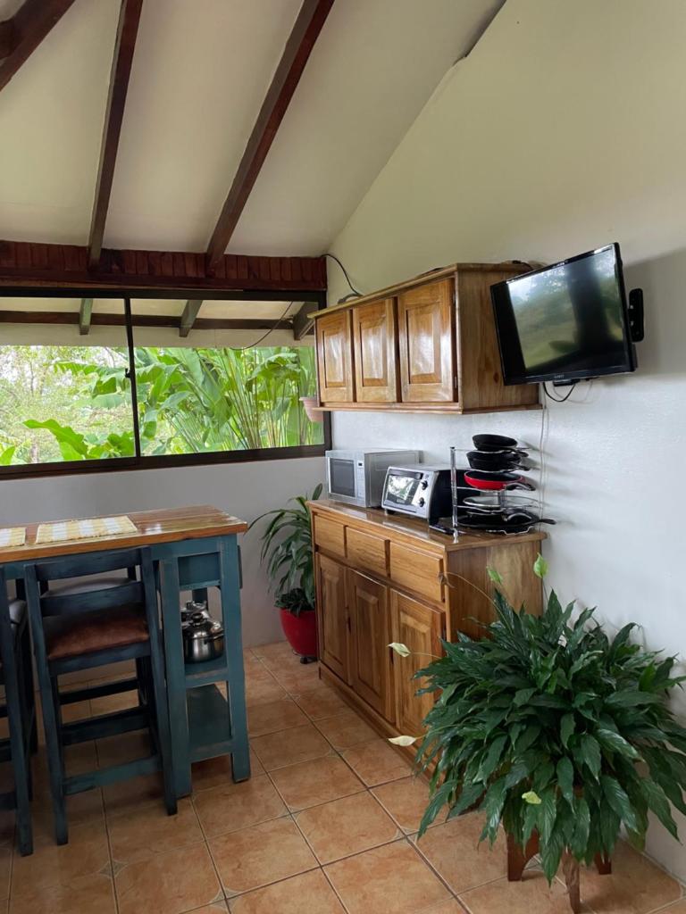 Equipped cottage in Laguna Hule photo 2