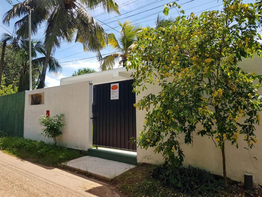 Happy house mirissa photo 2