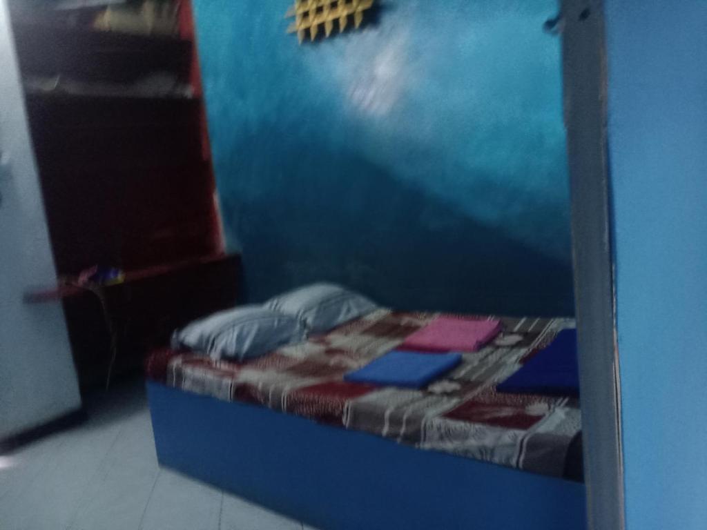 Casa Minha Backpackers Hostel photo 4