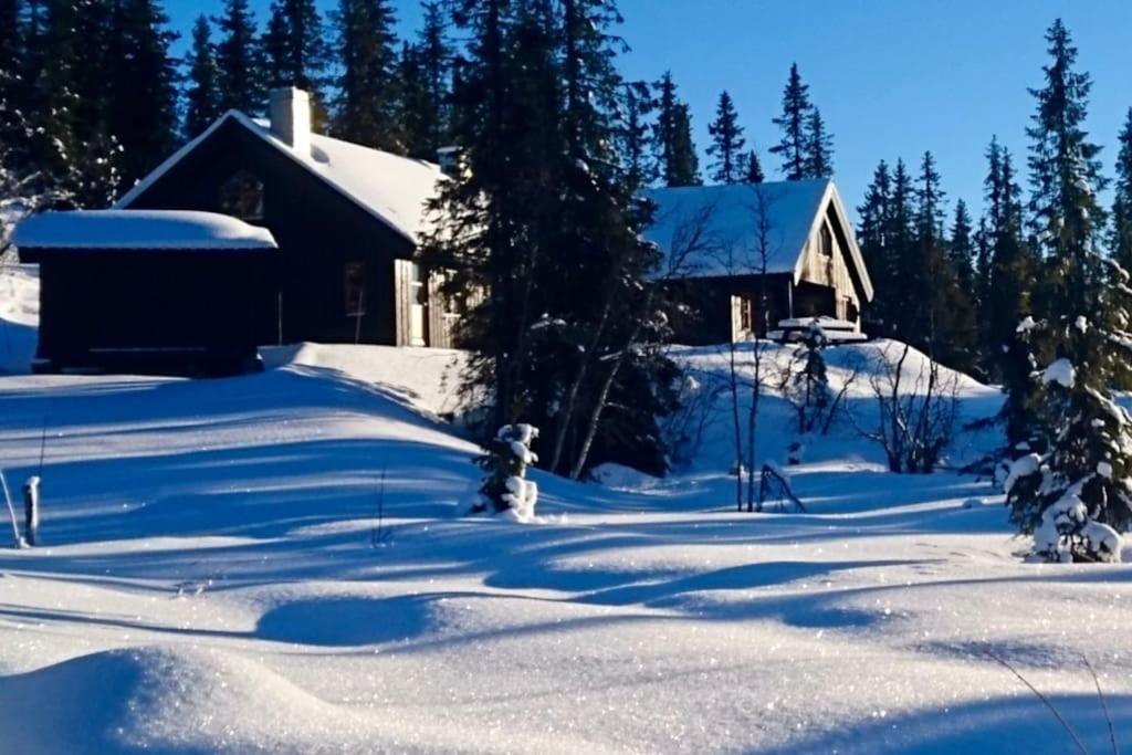 Your Ideal Getaway Awaits in This Charming Cabin Retreat photo 1