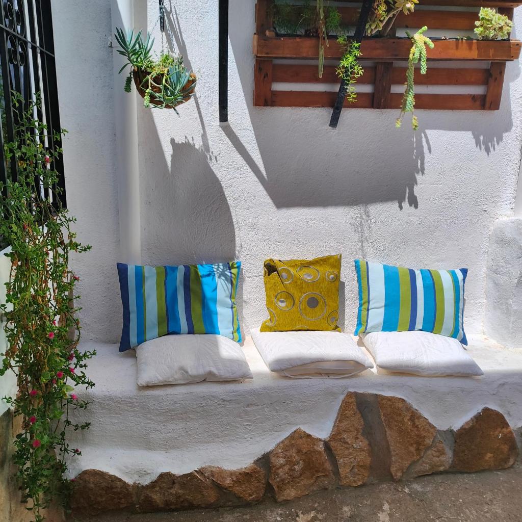 la casita del pueblo PET friendly granada photo 2