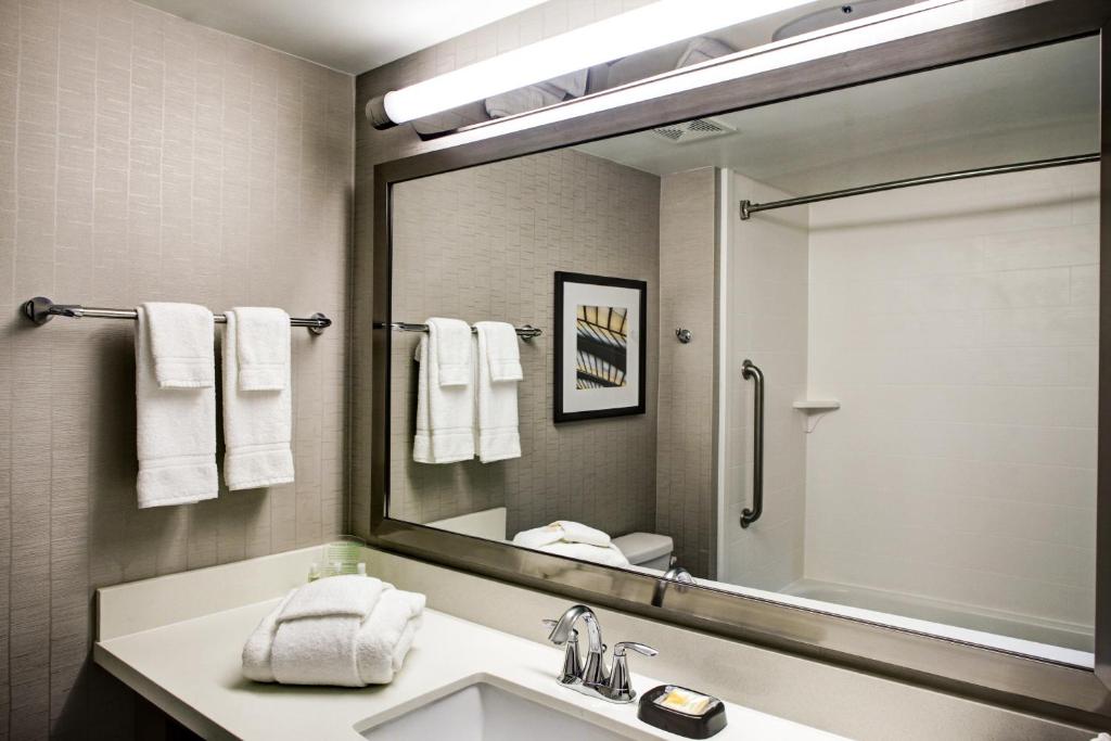 Holiday Inn Franklin - Cool Springs, an IHG Hotel photo 3