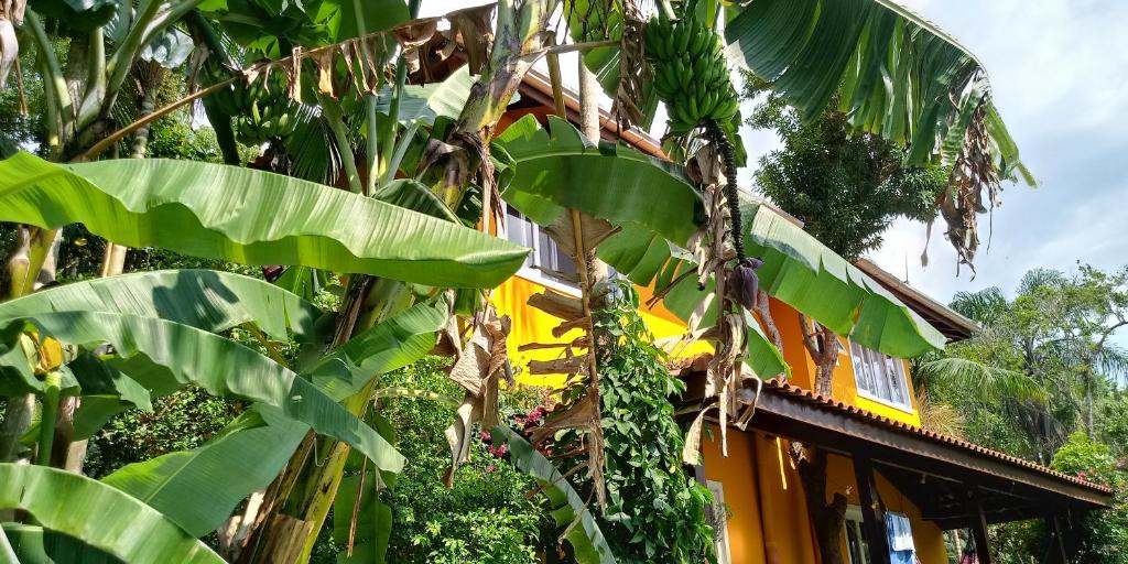 Casa amarela photo 4