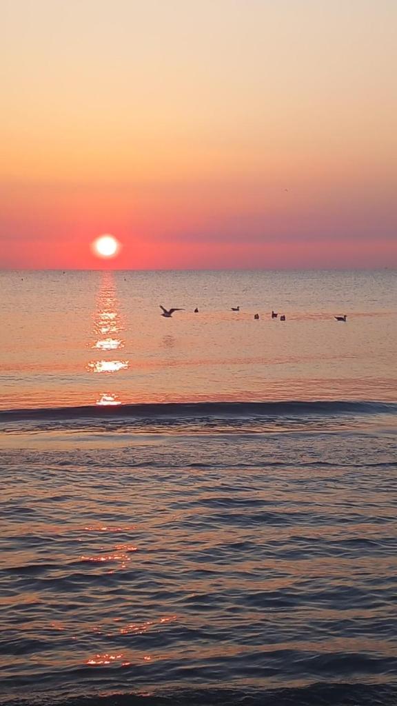 ALBA ADRIATICA vacanze