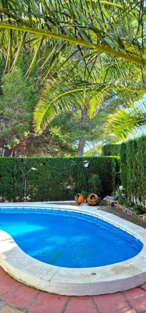 Casa Buganvilla photo 1
